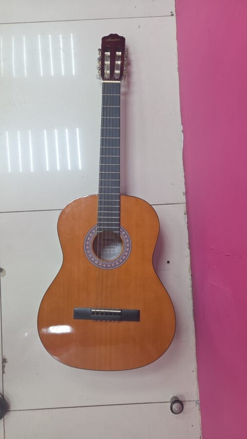 Гитара ELENBERG