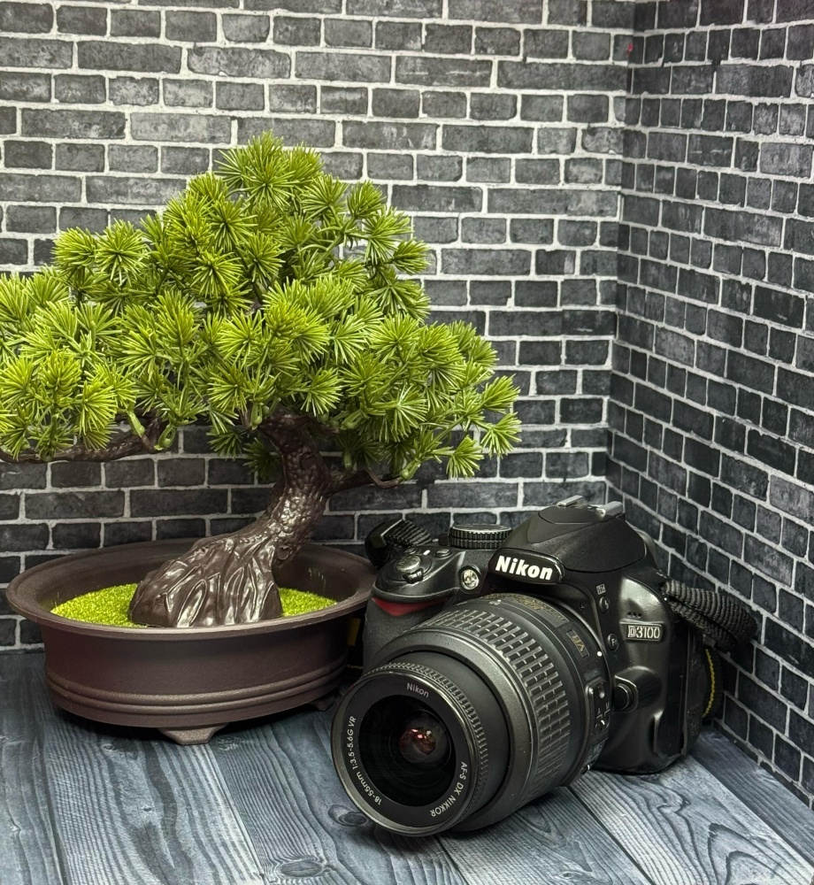 Фотоаппарат Nikon D3100