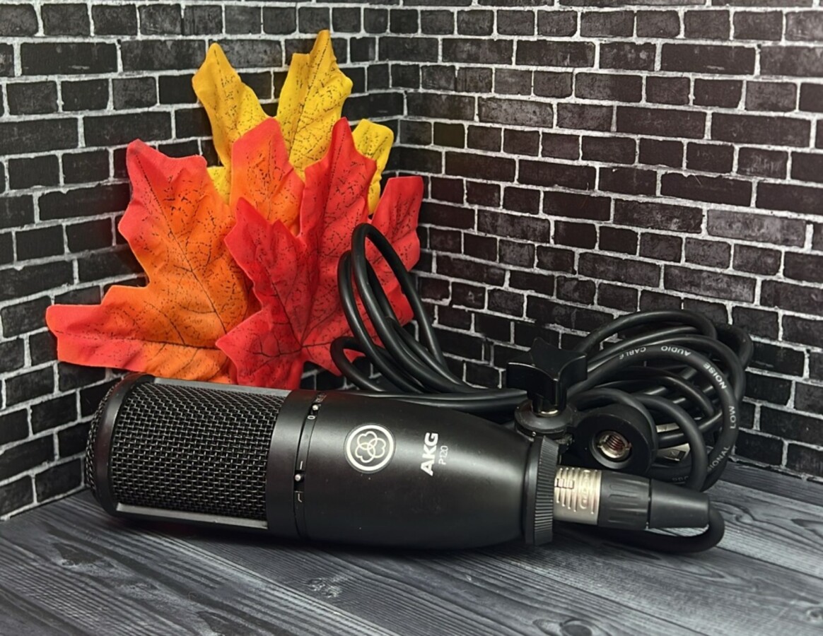 Микрофон AKG P120