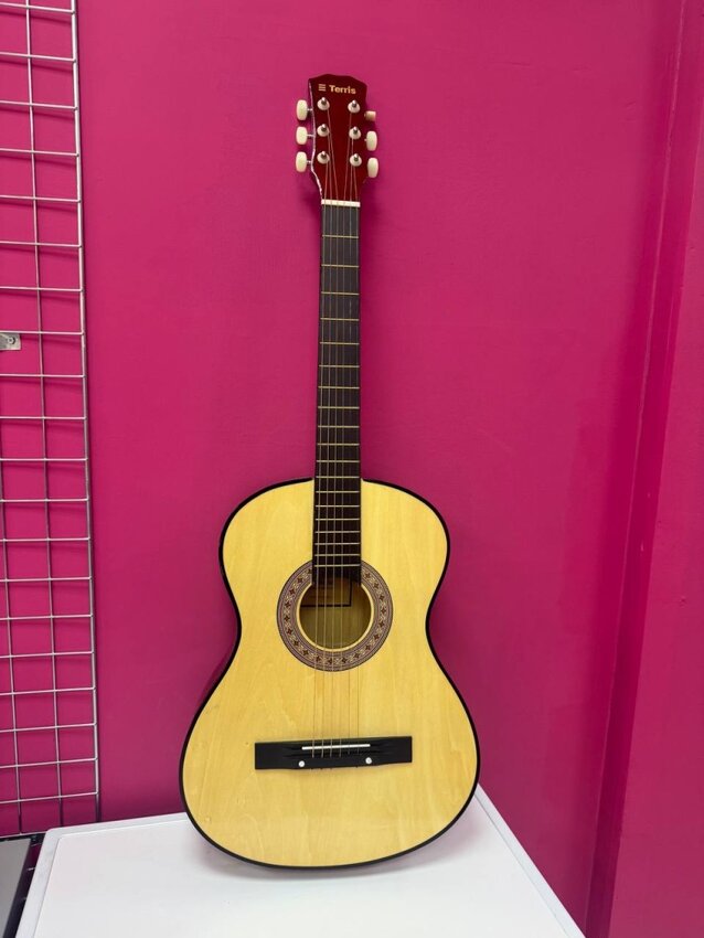 Гитара TERRIS
