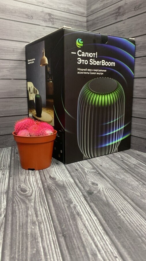 Акустика SberBoom