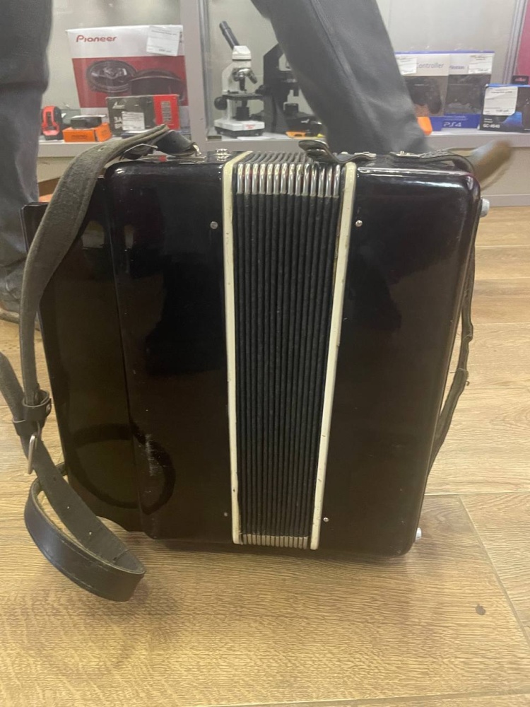 Гармонь чайка