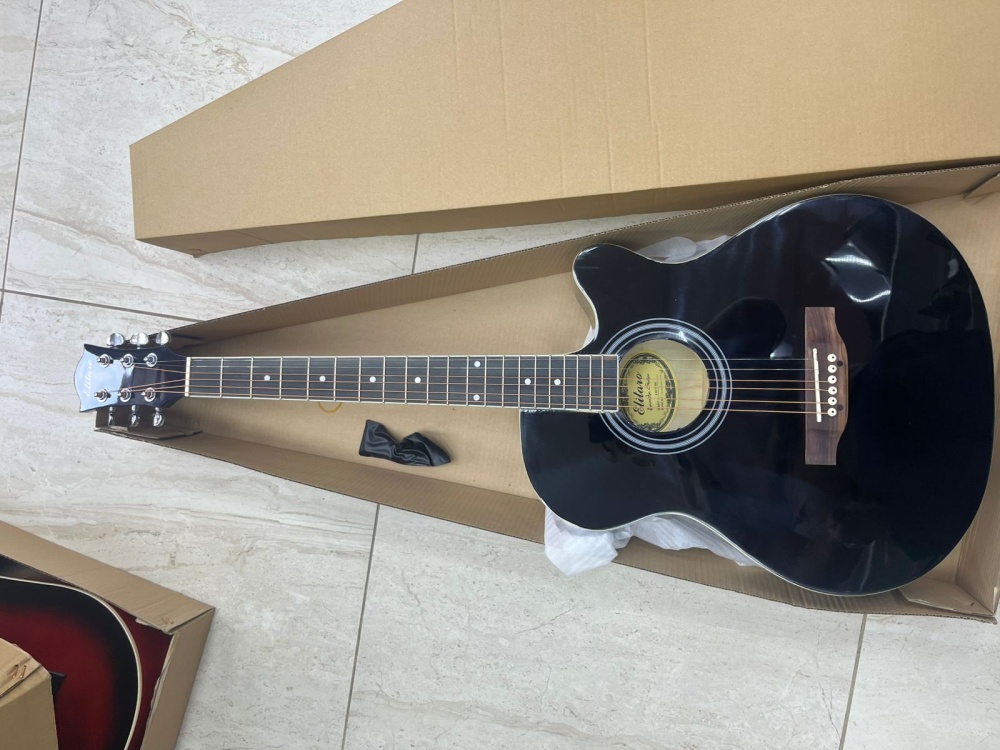 /Гитара Elitaro E4010 BK