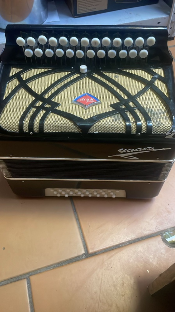 Гармонь чайка