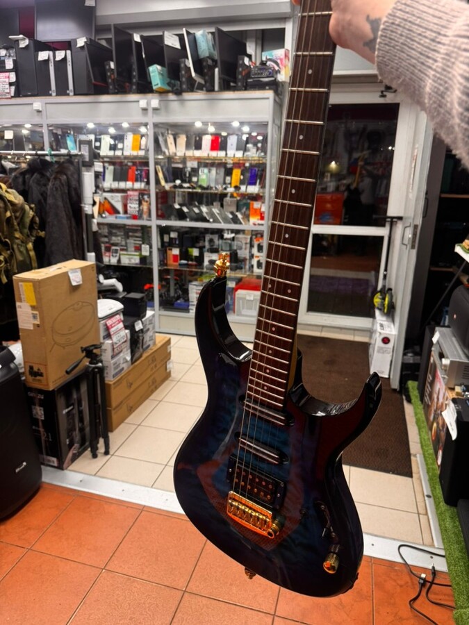 Электрогитара Fernandos Fgz 420